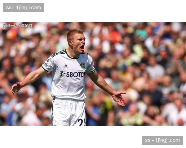 利兹联主场六轮不胜陷入保级危机 领先降级区优势仅四分